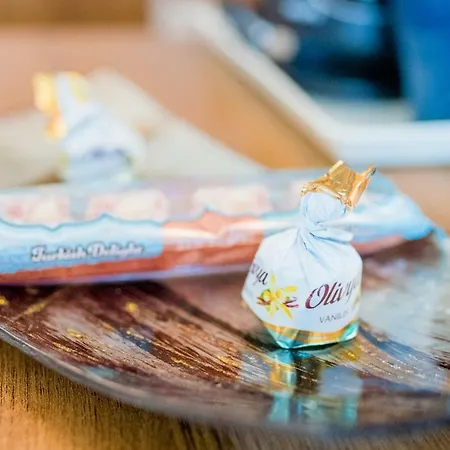 酒店 布尔加斯酒店