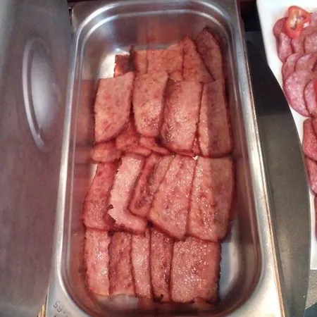 酒店 布尔加斯酒店 4*